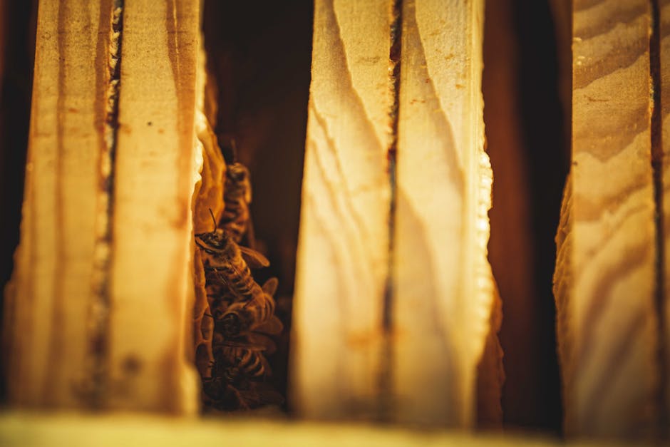 Detalle de abejas trabajando en un panal natural