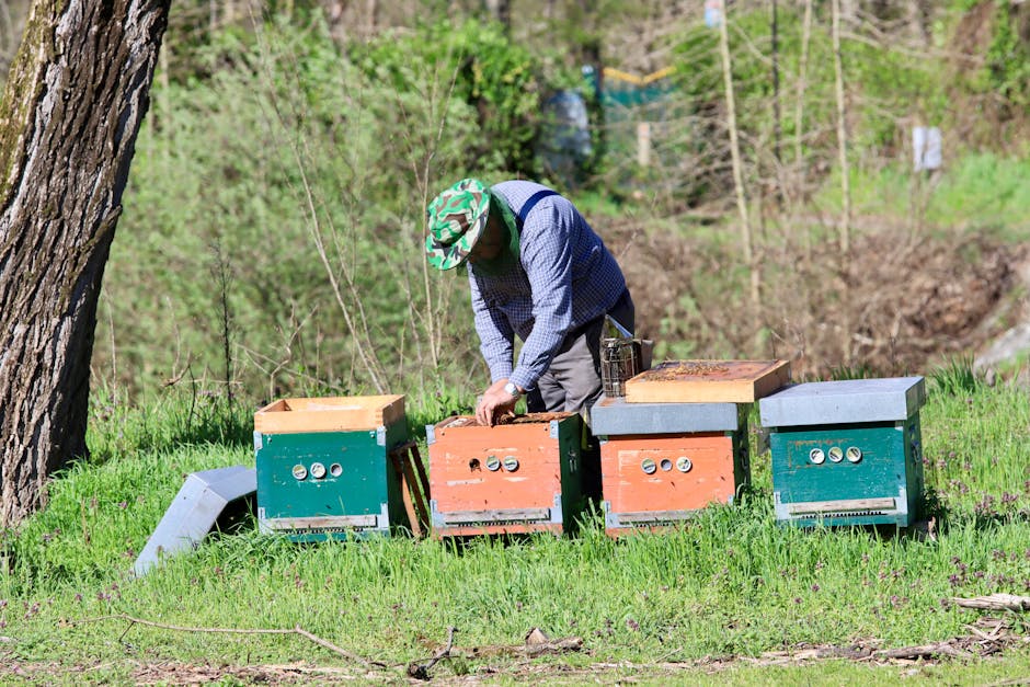 Apicultor con equipo de protección completo manejando una colmena